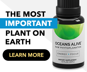 Oceans Alive Most Important Plant Learn More Banner5