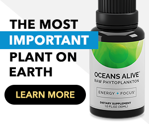 marine phytoplankton benefits