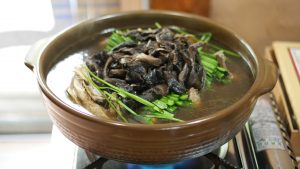 medicinal mushrooms