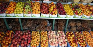flavonoids