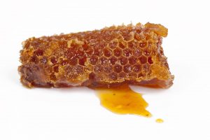 bee propolis