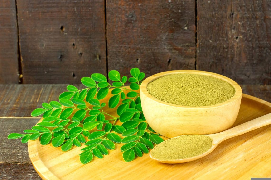 moringa oleifera