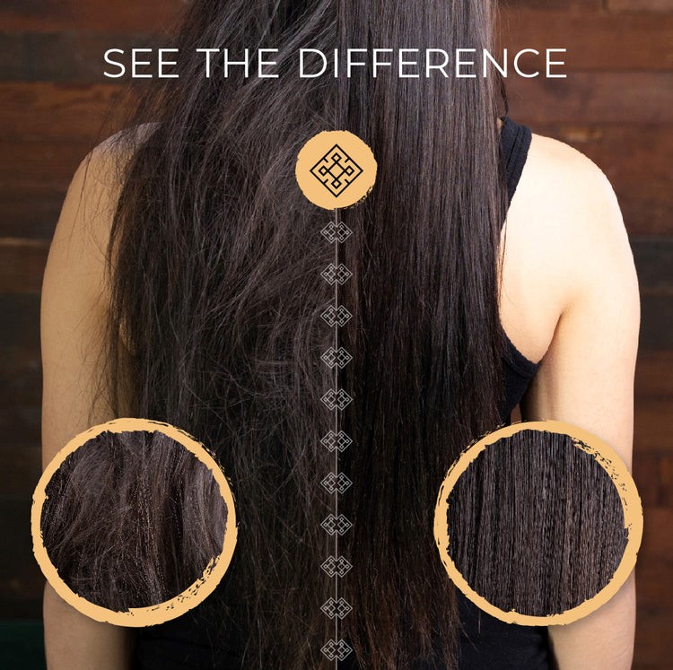 What You Need To Know About Viori 5 Incredible Benefits Of The Viori Shampoo and Conditioner