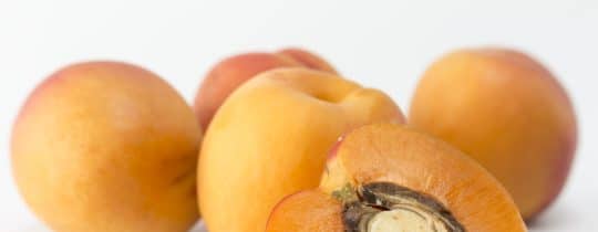 apricot seeds