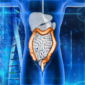 gut microbiota2